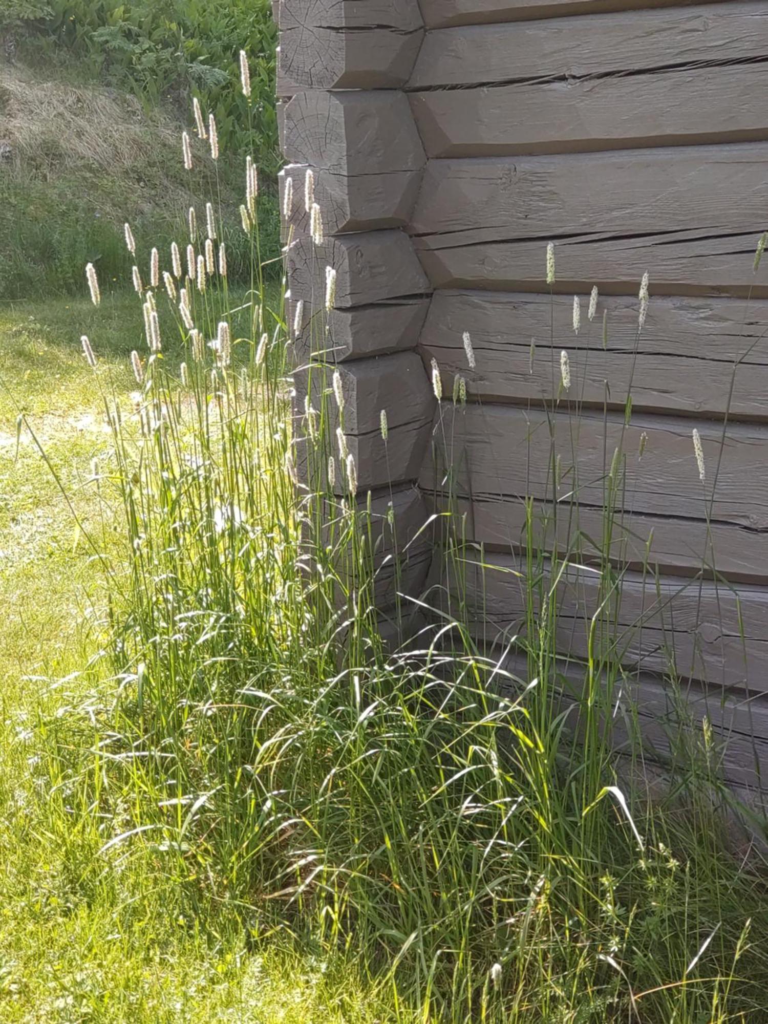 Fyrkloeverns Stugby Rättvik Exterior photo